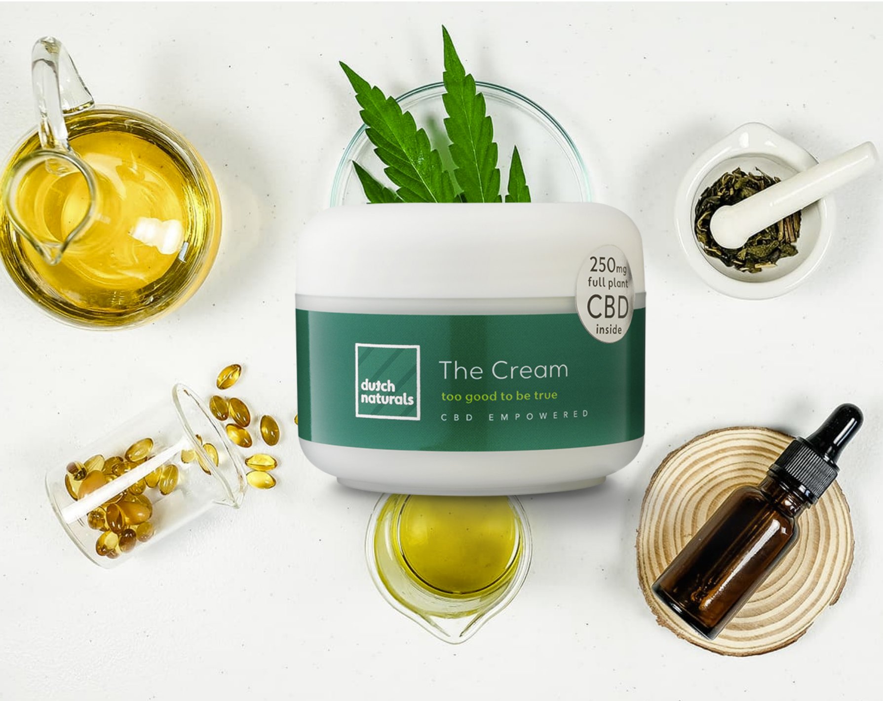 the-cream-din-olanda